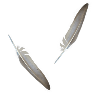 Plumes.png