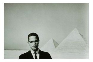 Polaroid-Malcolm-Egypte.jpg